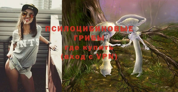 apvp Долгопрудный